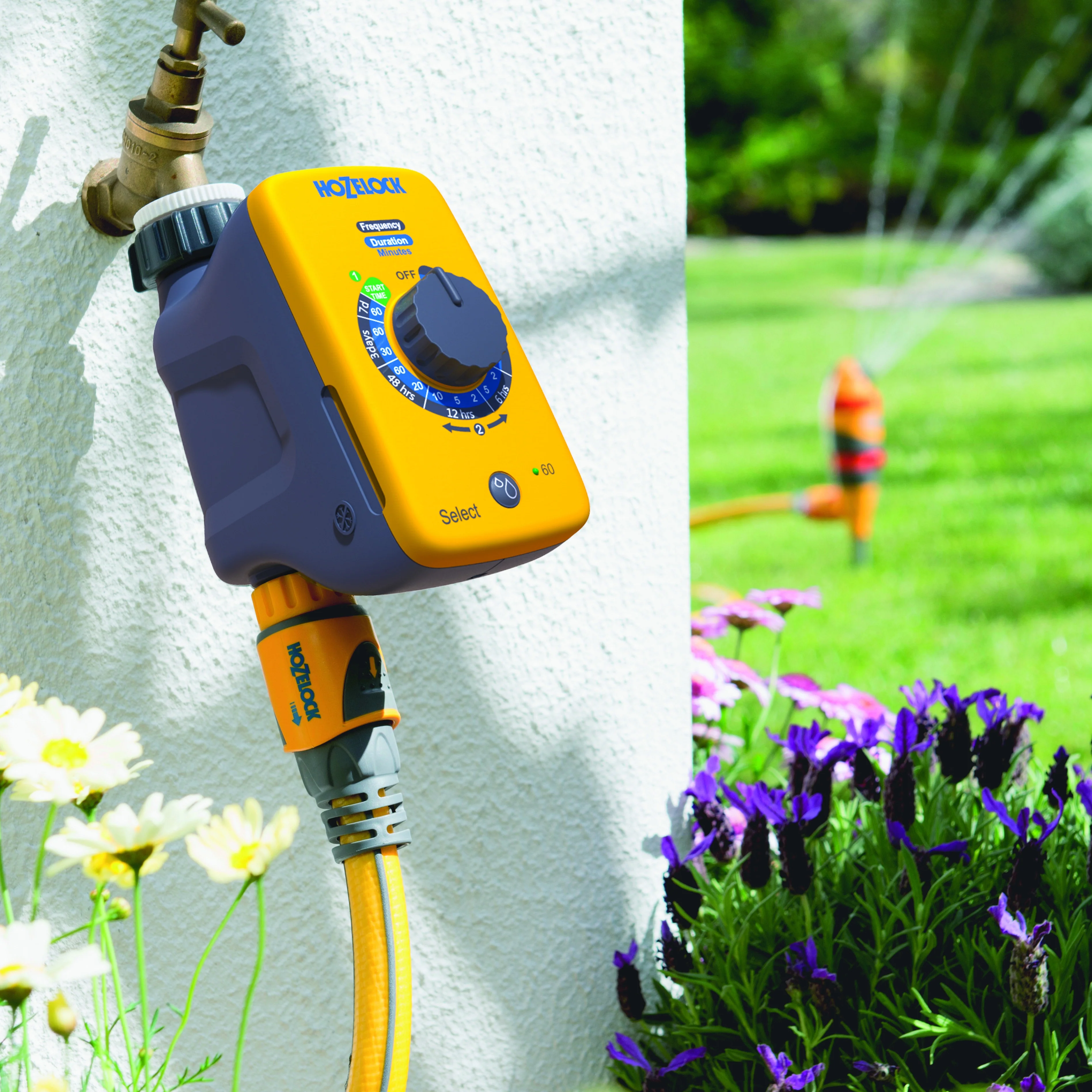 Vorschaubild 1